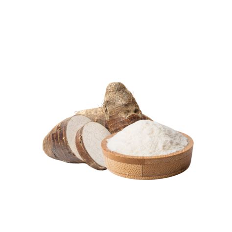 Image result for Arrowroot Powder Under Microscope