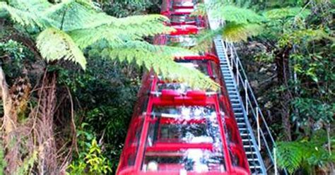 シーニック・レイルウェイ 世界遺産の原生林を…ギネスの勾配で急降下 江藤詩文の世界鉄道旅 - 産経ニュース