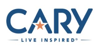 SAS Visual Analytics | SAS India