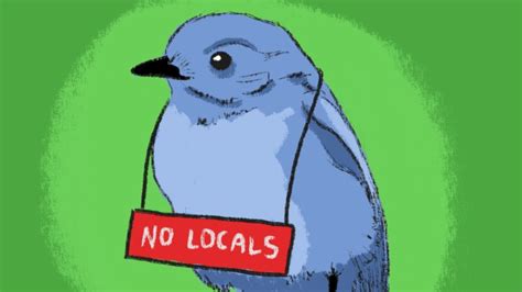 Local Activities Memes 的图像结果