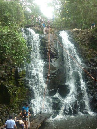 Iguazu Forest (Puerto Iguazu) - 2021 What to Know Before You Go (with ...
