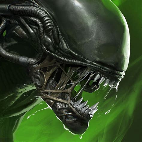 Image result for Alien Blackout Tips