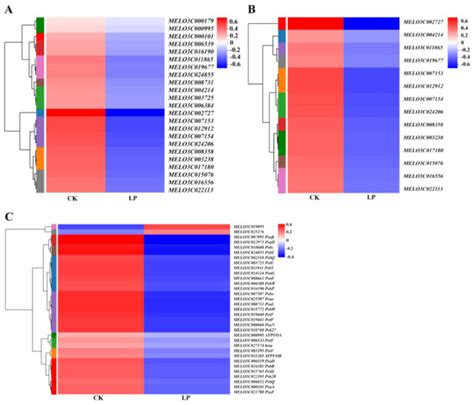IJMS | Topical Collection : Photosynthesis in Plants and Algae ...