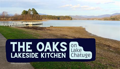 Scenic Waterfront Dining in North Georgia Mountains🍴🌄