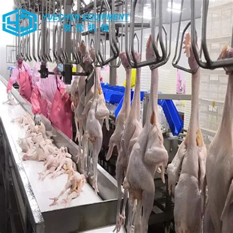 Chicken Processing Machines 的图像结果
