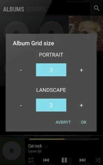 Descargar BlackPlayer 2.57 APK Gratis para Android