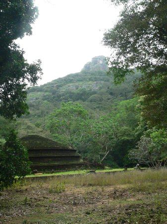 ALKIN ADVENTURE RESORT (Kandalama) - Campground Reviews & Photos ...