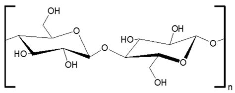 Development of a Biomass Component Prediction Model Based on Elemental ...
