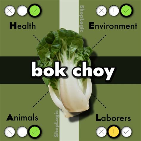 Bok Choy Benefits: Is Bok Choy Low Fodmap, Alkaline, Vegan?