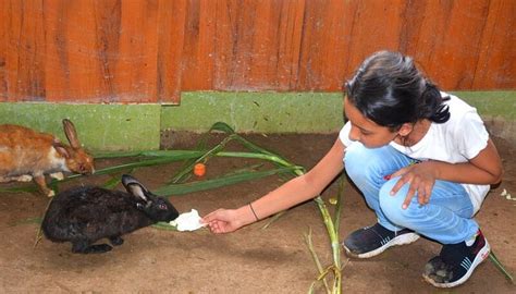 PETS ZONE - All You Need to Know BEFORE You Go 2026 (with Photos ...
