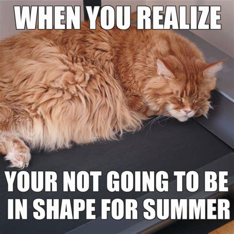 15 Funny Summer Memes To Make You Smile Before Summer Ends