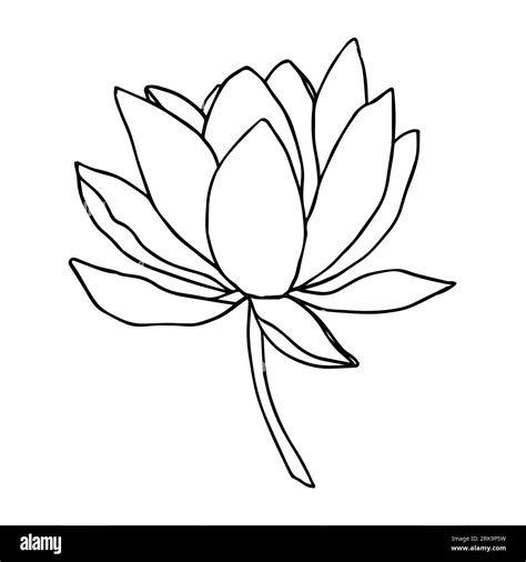 Lotus Flower Outline Designs