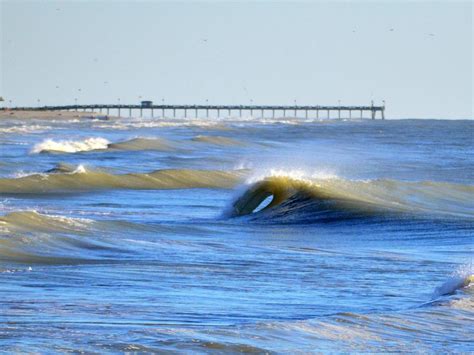 Siesta Beach Live Cam 的图像结果