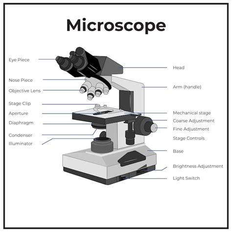 Image result for Compound Microscope Assembly