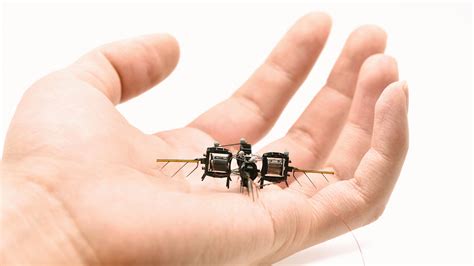 Micro Robots 的图像结果