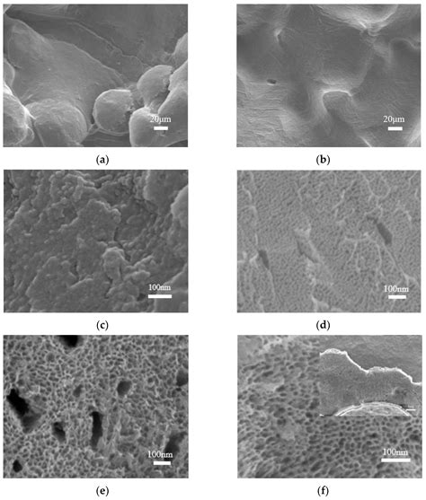 Antibacterial Structure Design of Porous Ti6Al4V by 3D Printing and ...