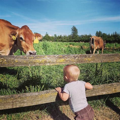 Twin Brook Creamery: 100+ Years of Family, Stewardship, & Happy Cows ...
