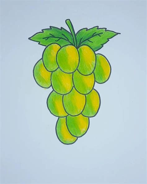 How to draw green grapes easy fruits drawing – Artofit