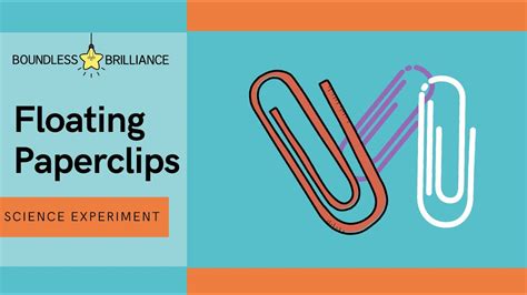 Image result for Paper Clip Experiment