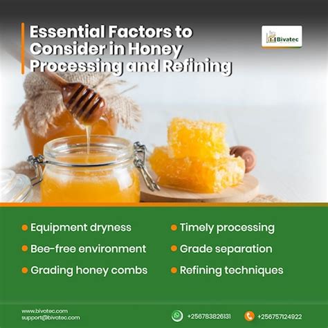Image result for Basic Honey Processing
