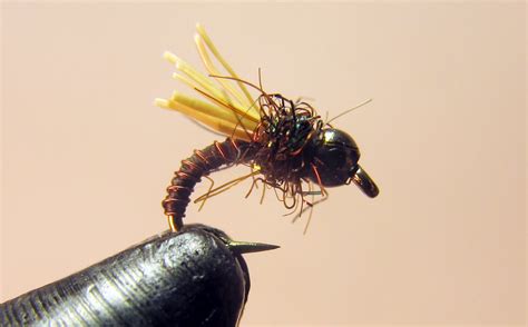 Image result for Muskin Fly Pattern