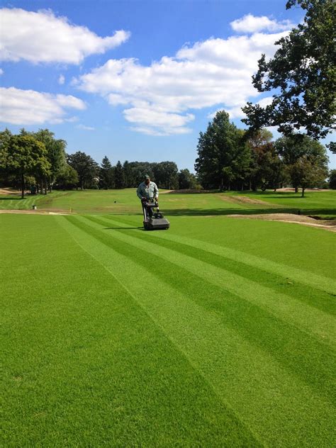 Ridgemoor Country Club Golf Course Maintenance: Renovation Weeks VI & VII