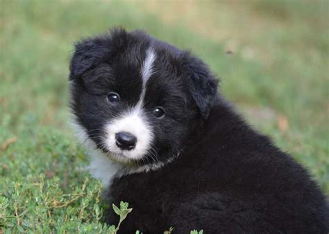 Computer Project Sjana 的图像结果