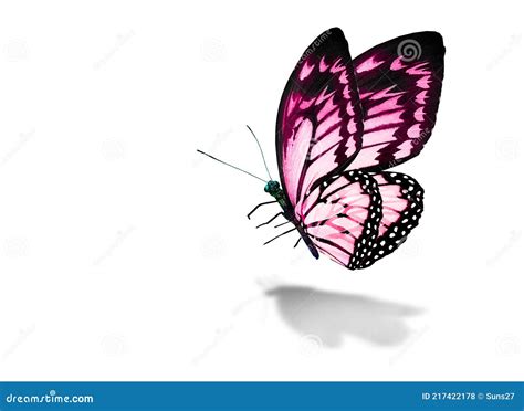 Color Monarch Butterfly , Isolated on the White Stock Illustration ...