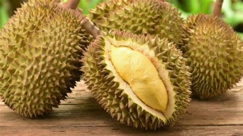 Durian 1 Biji: Kenali Kandungan Kalori Buah Tropika Favorit Anda