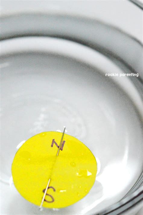 Image result for DIY Compass without Water