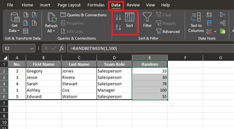 Randomize Data in Excel 的图像结果