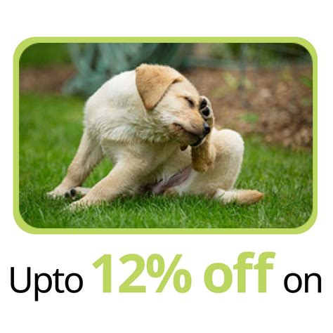 Buy Dog Tick and Flea Products Online in India | Supertails