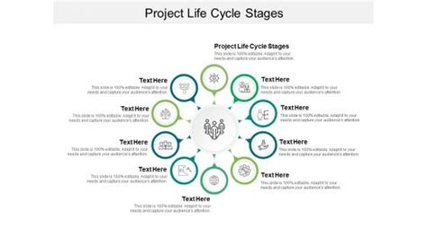 Image result for Program Life Cycle Process PowerPoint