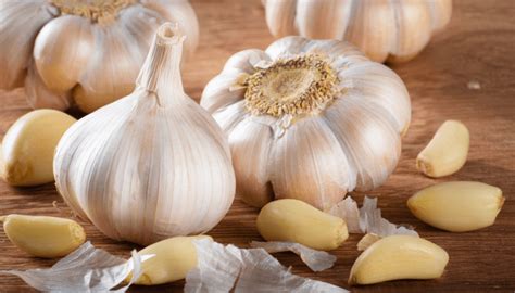 8 Immunity booster foods for healthy lymphatic system | FITPASS