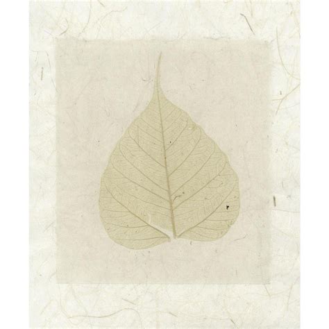Pitaara Box Bodhi Leaf Collage | Peel & Stick Vinyl Wall Sticker for ...
