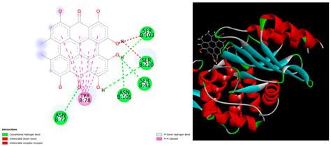 Exploring Hypericin as a Potential Modulator of Key Targets in ...