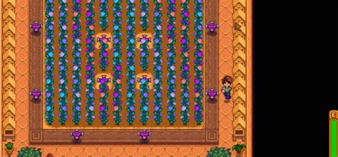 How To Get Fairy Roses in Stardew Valley (And Common Uses) - FandomSpot