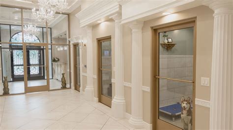 Luxury pet hotel K9 Resorts to open in Grand Rapids this August ...