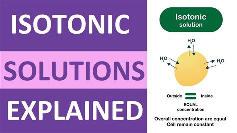 Image result for Isotonic Solution Examples