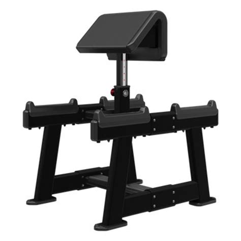 Nautilus Standing Preacher Curl