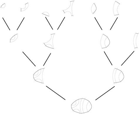 Image result for Python Decomposition Tree