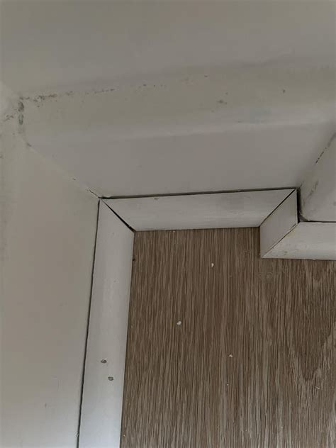 Is this acceptable install quality on the quarter rounds? : r/Flooring