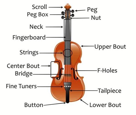 Parts Of Violin Diagram