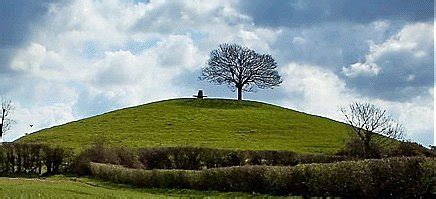 BURROW HILL BED AND BREAKFAST (Kingsbury Episcopi) - B&B Reviews ...