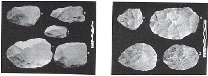 Pre-history and Proto-history - UPSC PDF Download