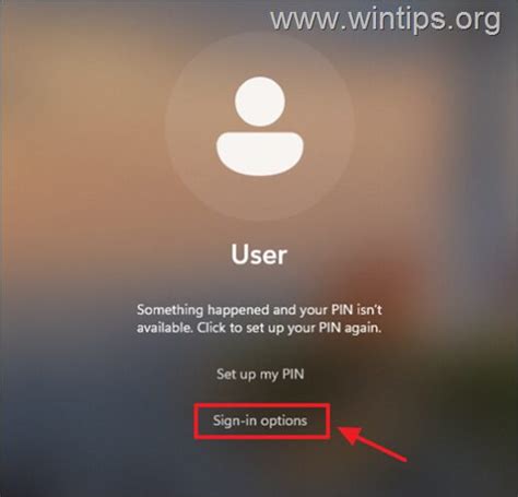 Image result for Troubleshoot Pin Problems