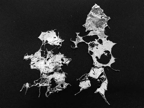 Mask texture Images - Free Download on Freepik