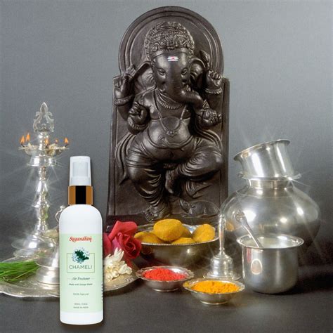 Air Freshener Chameli - 100ml