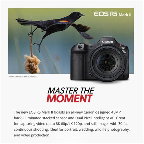 Canon Camera Latest Model 的图像结果