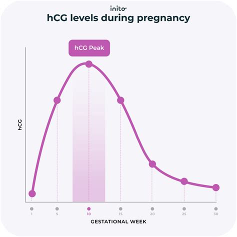 HCG Levels Twins: Key Indicators for Twin Pregnancy